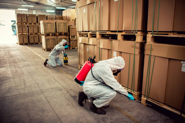 Best Affordable Pest Control Services  in Logan, UT