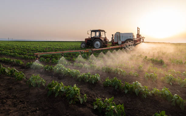 Pest Control Cost in Logan, UT