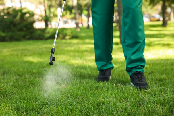 Best Wasp Removal Services  in Logan, UT