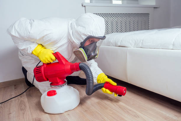 Best Mosquito Control Services  in Logan, UT
