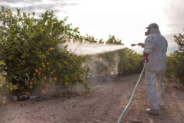Best Insect Control  in Logan, UT