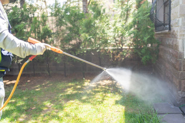 Best Flea Control Services  in Logan, UT