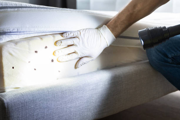 Best Exterminator Services  in Logan, UT