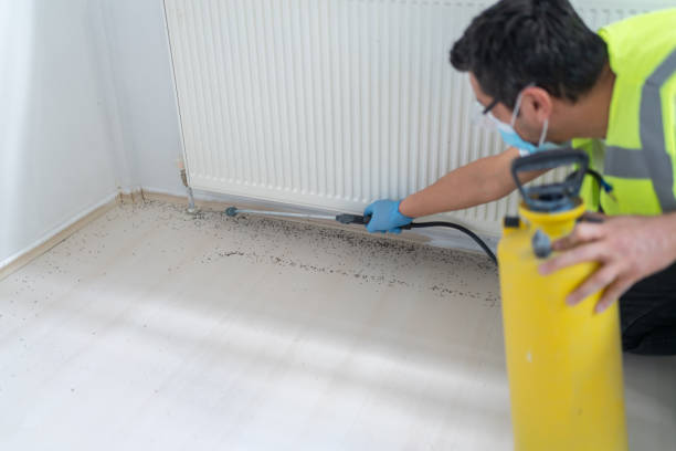 Best Termite Control Services  in Logan, UT