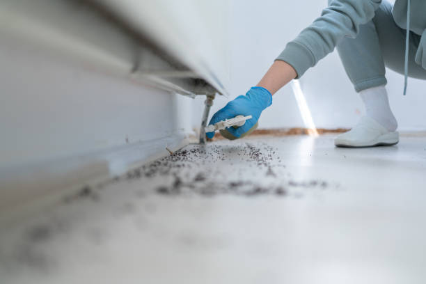 Best Cockroach Control Services  in Logan, UT
