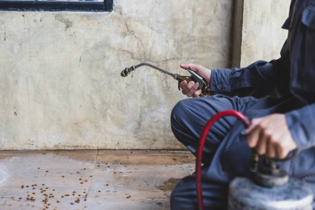 Best Exterminator Services  in Logan, UT