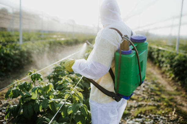 Best Local Pest Control Services  in Logan, UT